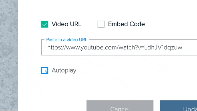 Link In Bio | Add Video