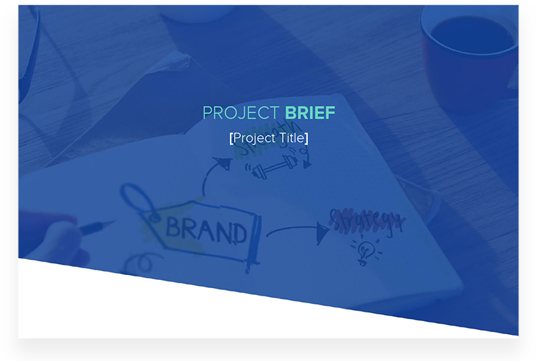 Project Brief Template