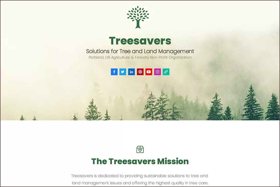 Nonprofit One Pager Template