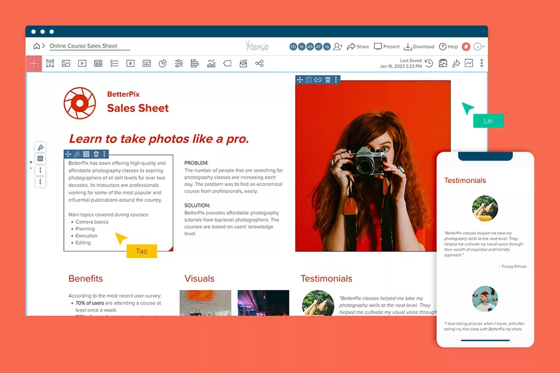 Online Course Sales Sheet