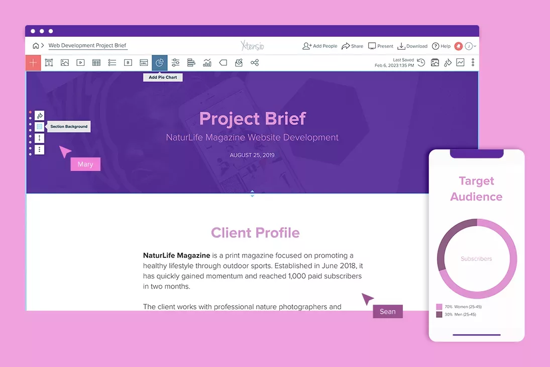 Web Development Project Brief Example Template