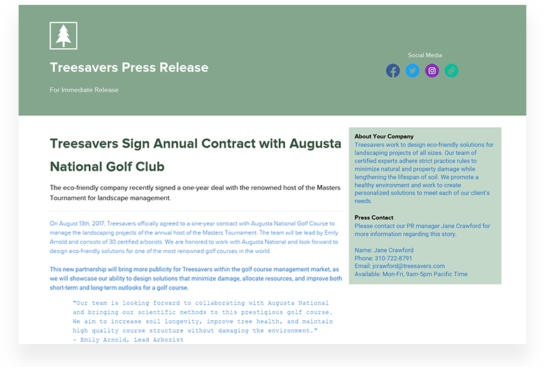 Press Release Template Example 2